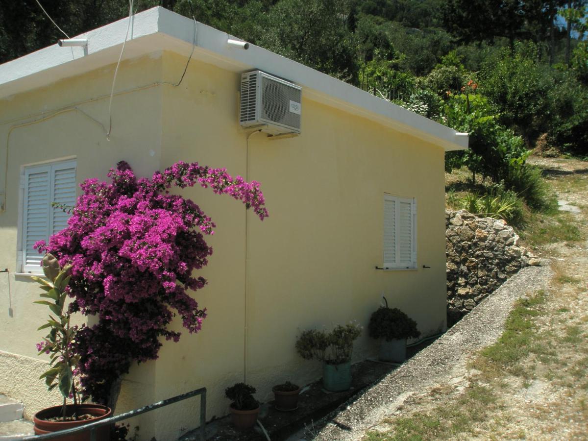 Faliraki Hotel de apartamente Benitses (Corfu)
