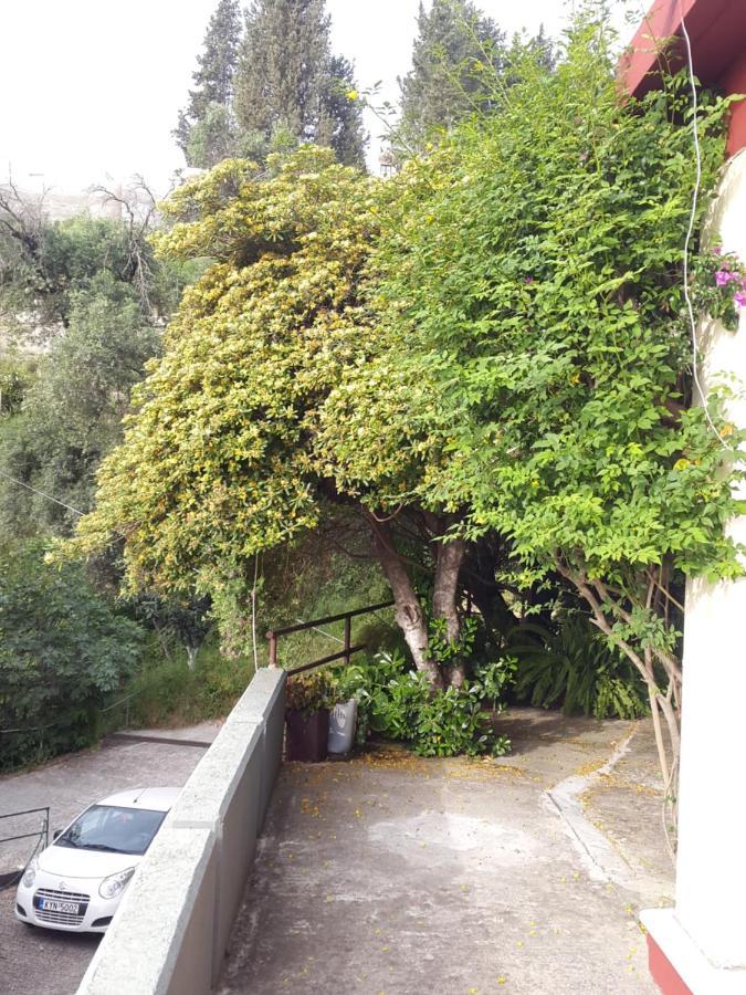 Hotel de apartamente Faliraki Benitses (Corfu)