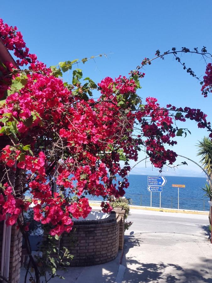Faliraki Hotel de apartamente Benitses (Corfu)